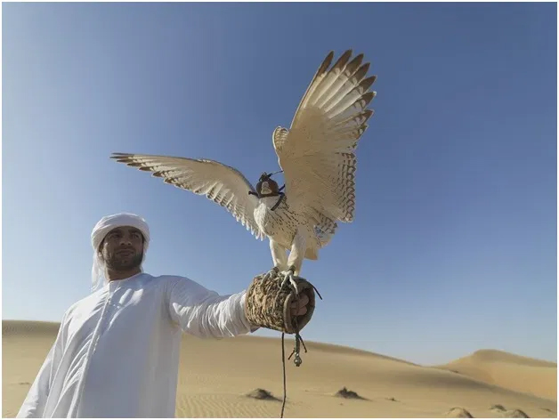 Moving to the UAE: Can Culture Shock Be Good for You?